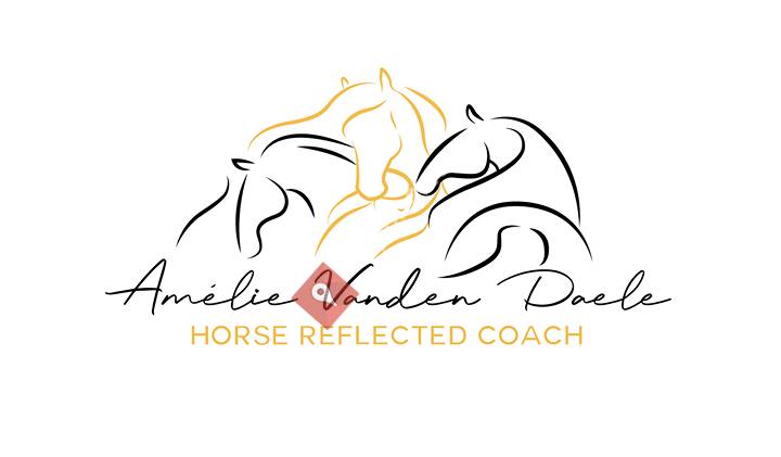 Amélie Vanden Daele - Horse Reflected Coach