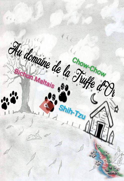 Au domaine de la Truffe d'Or