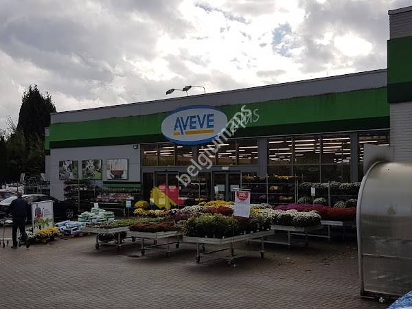 Aveve