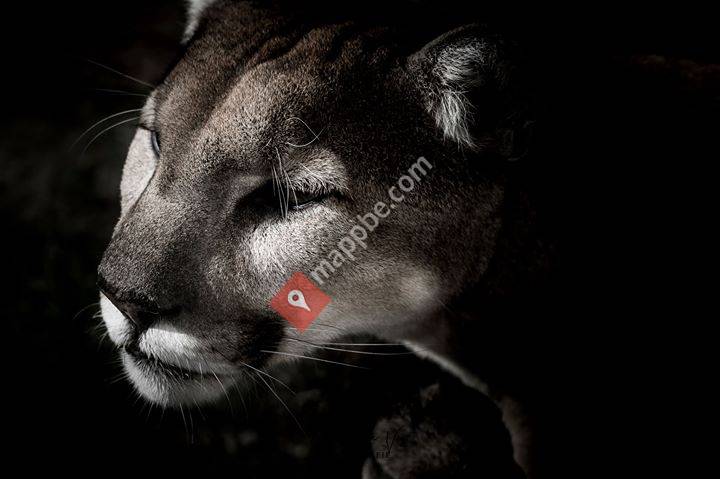 Barbara Vos Fotografie