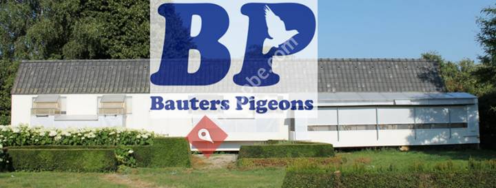 BautersPigeons