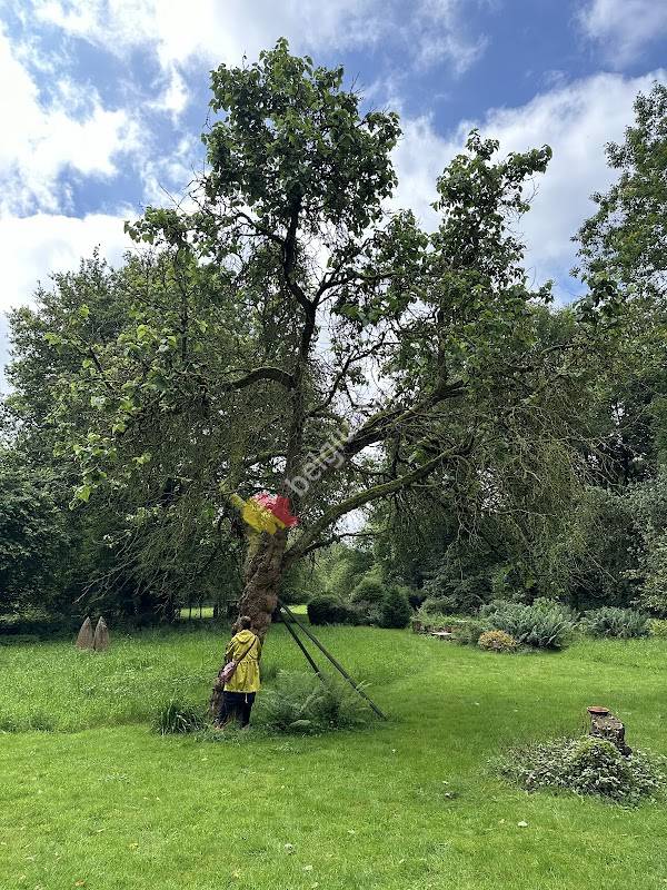 Bed and Breakfast Bobilou