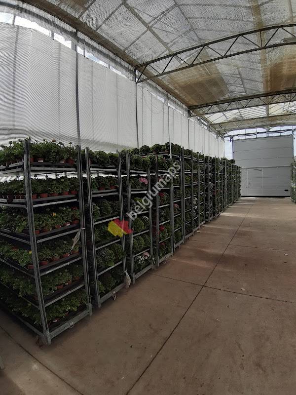 Bloemisterij Casteleyn