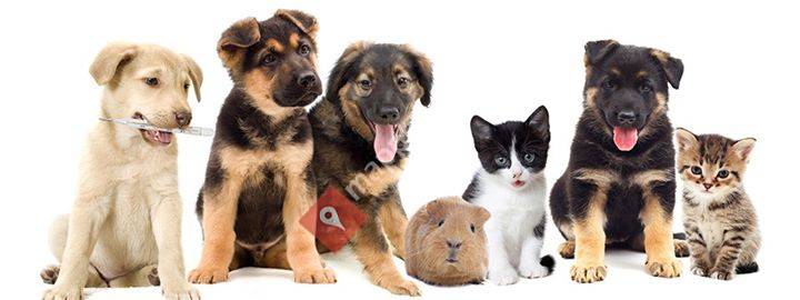 Centre Vétérinaire à Hannut