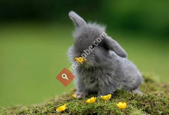 Centre Vétérinaire Jacquerye