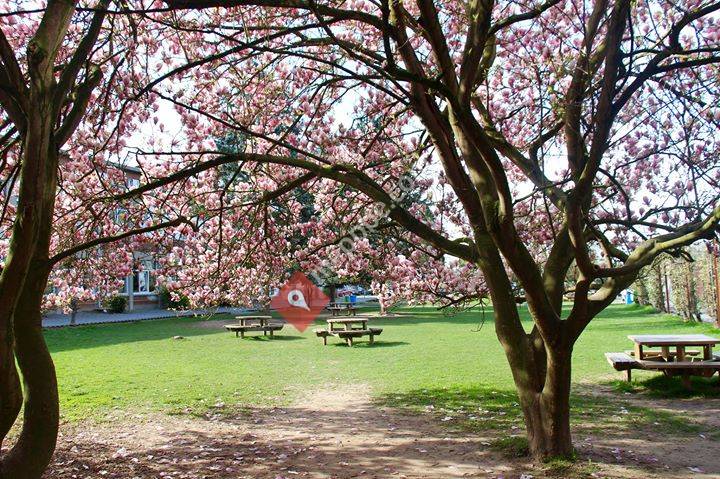 Collège Sainte-Croix et Notre-Dame Hannut