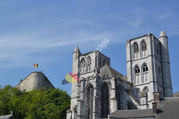Collegiale kerk Onze-Lieve-Vrouw en Domitianus van Hoei