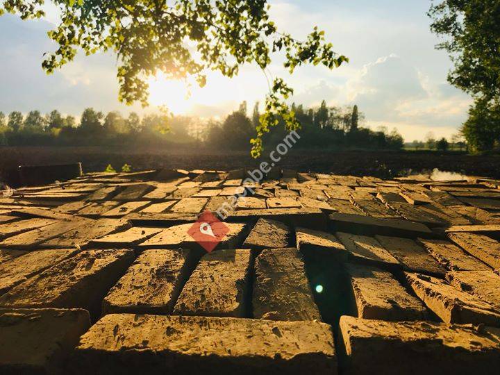 Cultuurdienst Gavere