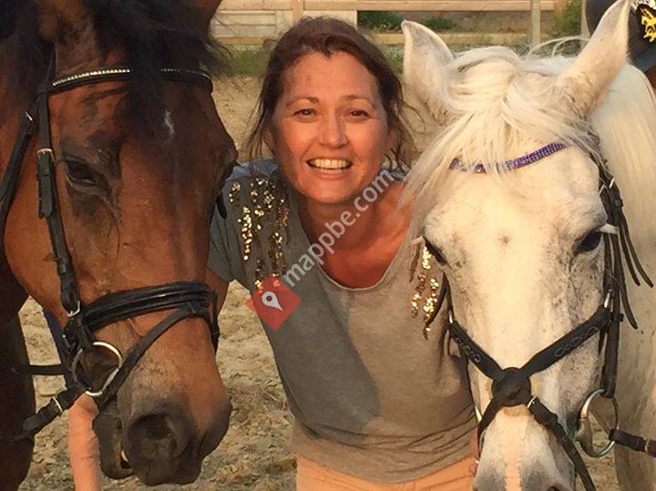 Dierenarts Sophie De Gryse