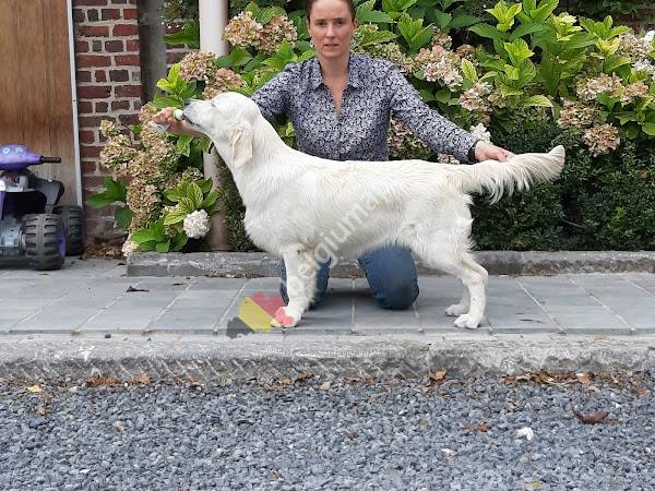 Dierenarts Vermander Nathalie