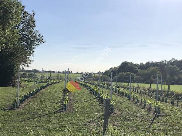 Domaine de la feuille