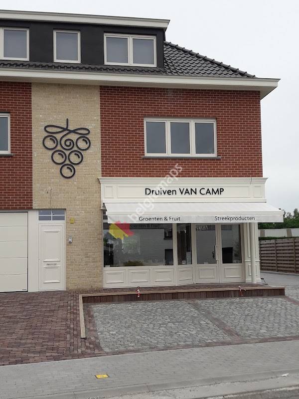 Druiven Van Camp