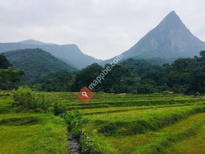 Explore srilanka