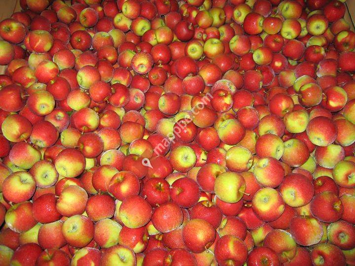 Fruitbedrijf Pauwels