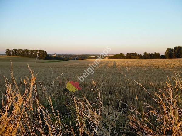Gemeentehuis Hoegaarden