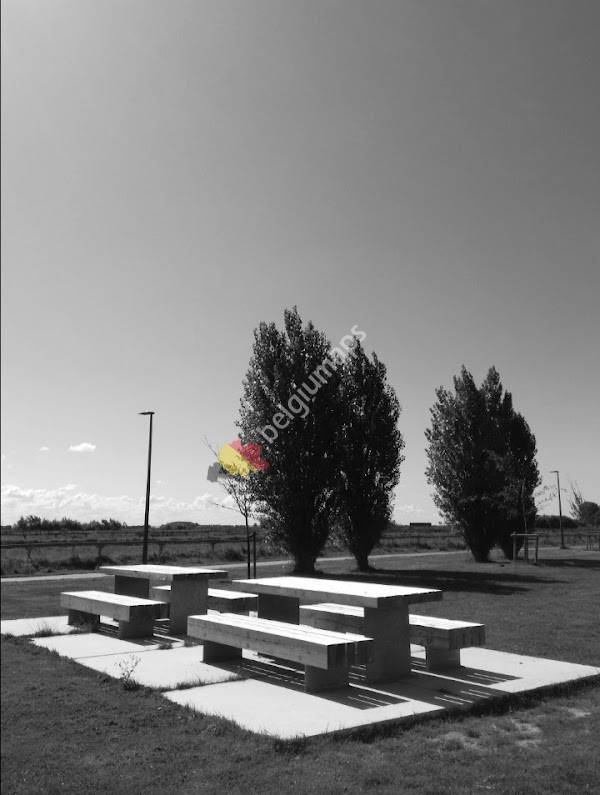 GO! Athena Campus Pegasus