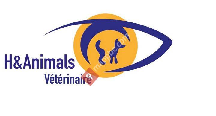 H&Animals Vétérinaire