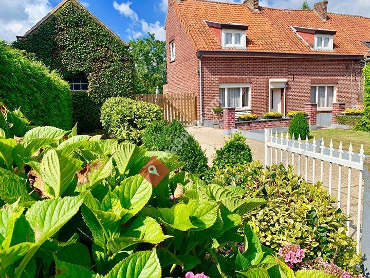 Haspengouws Hoeveke