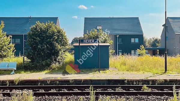 Hever