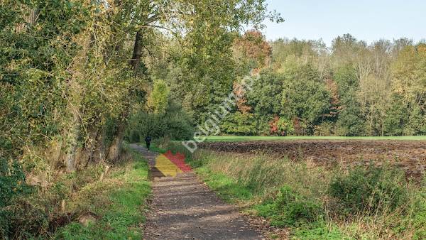 Hill 63