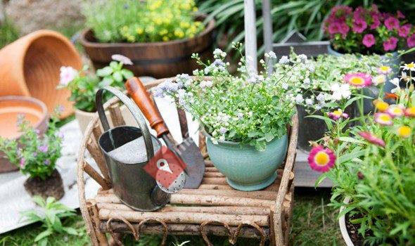 Hobbycenter Van Lierde