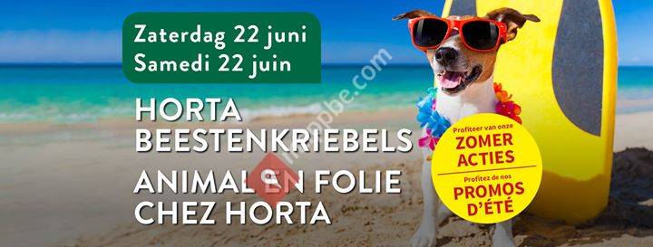 Horta Zoutleeuw Peeters