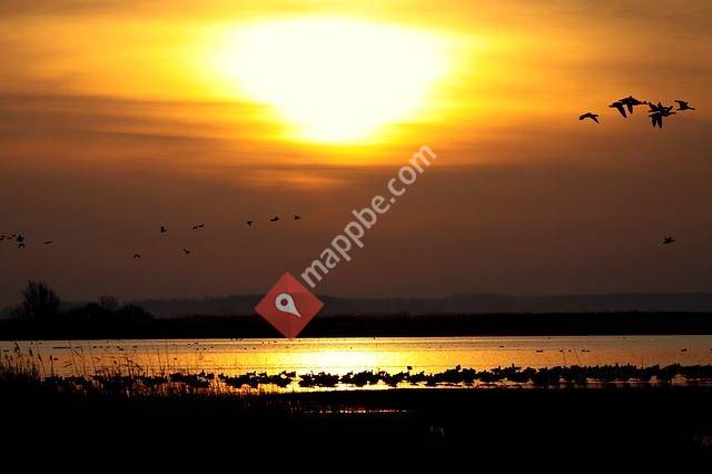 Hypno-Coach - Georgia Antonopoulos