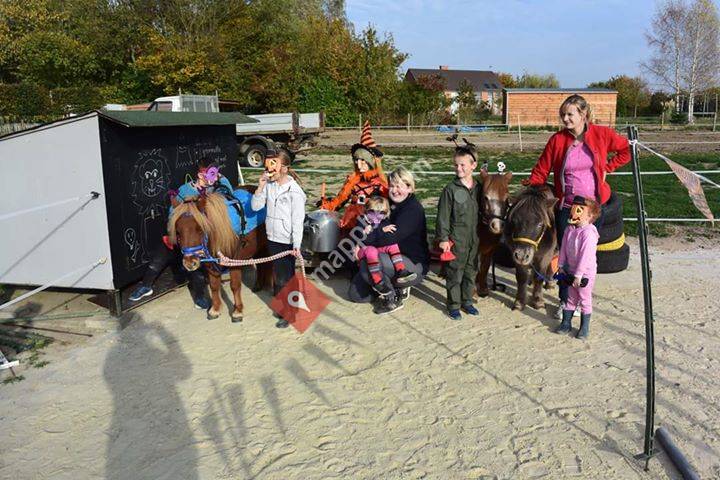 L'écurie du Sisthorse à Grand-Hallet