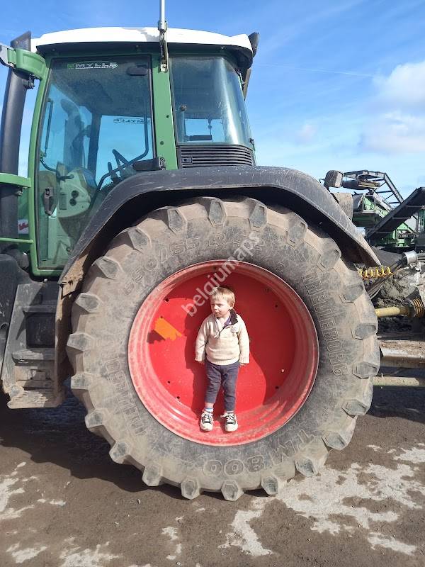 Lavano Ponts à peser | Lavaert Group