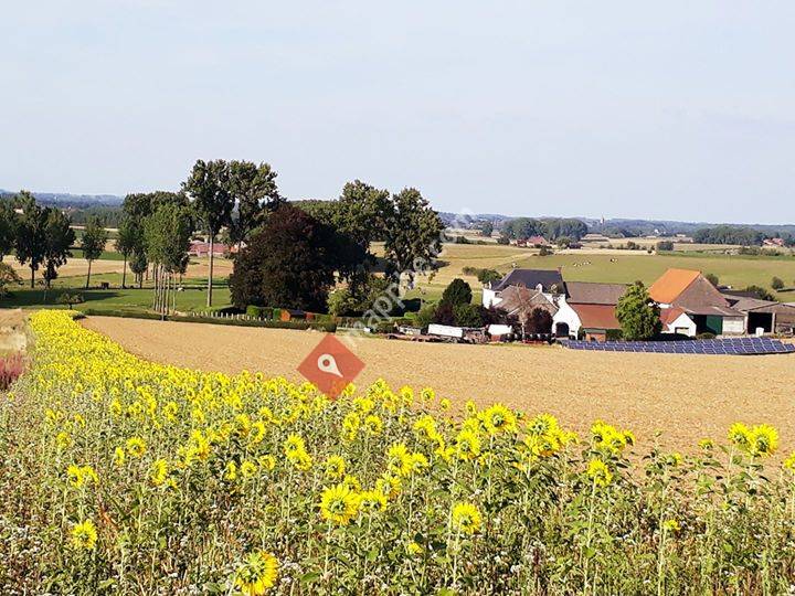 Les fromages de St Marcoult