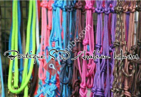 Matériel éthologique