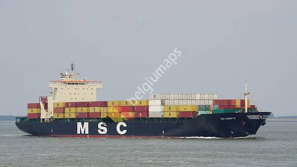 Mediterranean Shipping Company Belgium