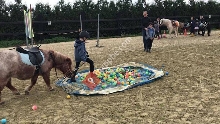 Mini ponyclub  De Pepito's