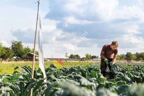 Moestuin van la Finca