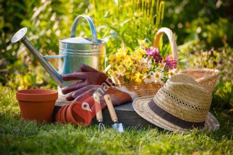 N.vanhaeren jardinage