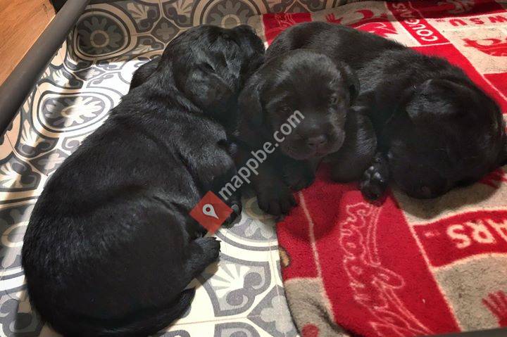 Naturally Nosy Kiera