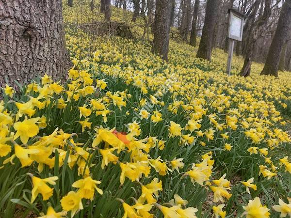 Naturlehrpfad Mausheck