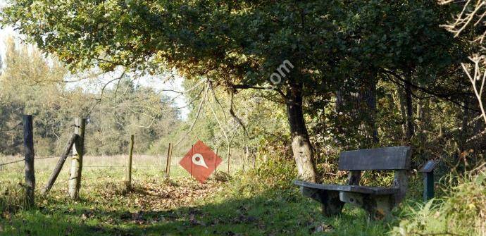 Natuurpunt-Denderleeuw