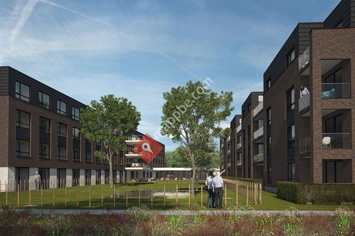 Orelia Puthof