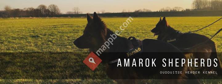 Oudduitse Herder Kennel The Amarok Shepherds
