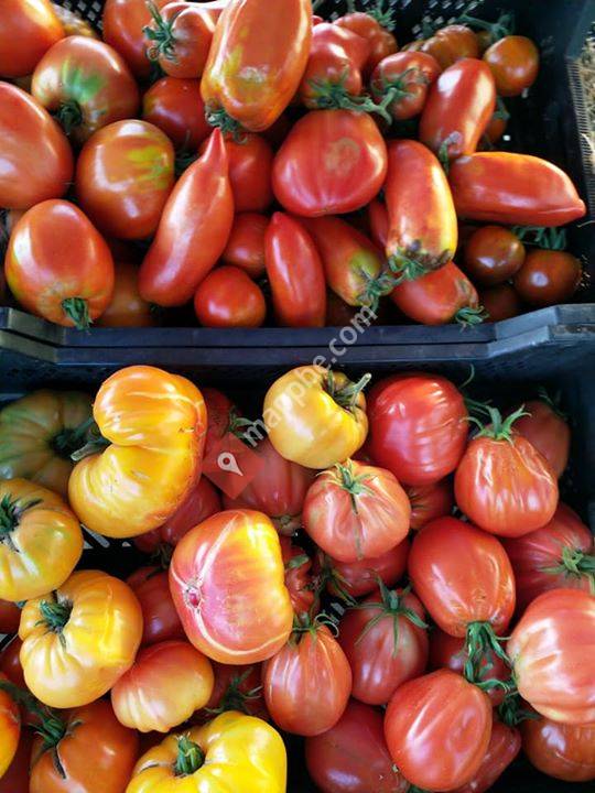 Pépinière des 7 fontaines