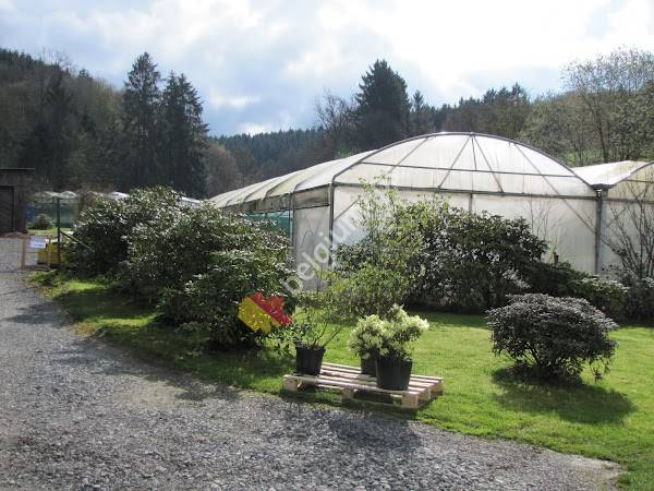 Pépinière Vitroplant Production sprl