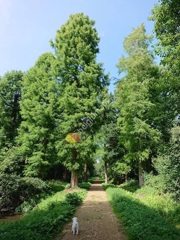 Parking Kasteel d'Ursel