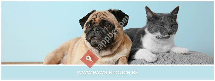 Paws in Touch