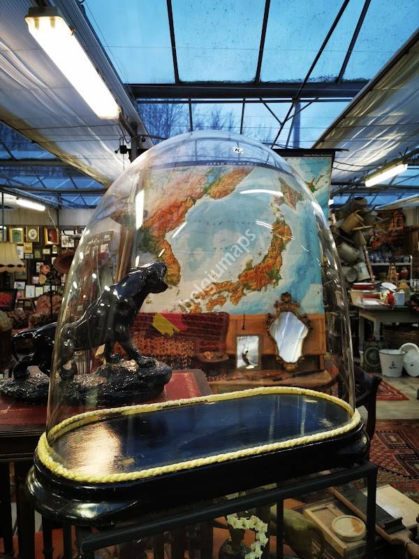 Plantoine Plantenkwekerij Plantencentrum