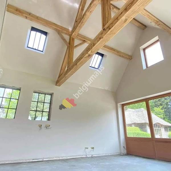 Pleisterwerken Koen Dael