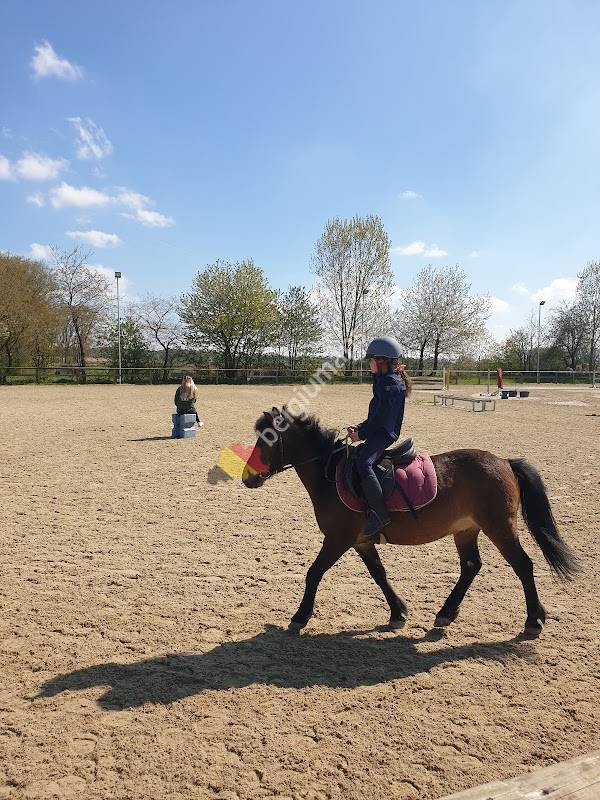 Poney Club Sterrebeek