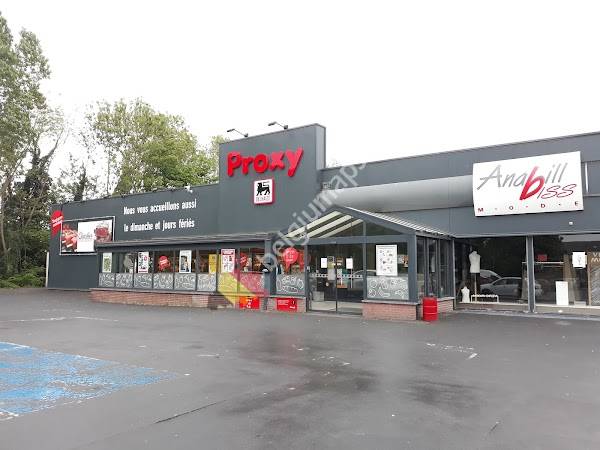 Proxy Delhaize Stenenbrug Lessen