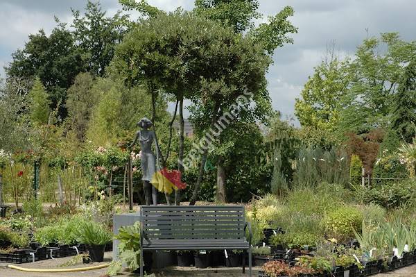 Robeet boomkwekerijen bv