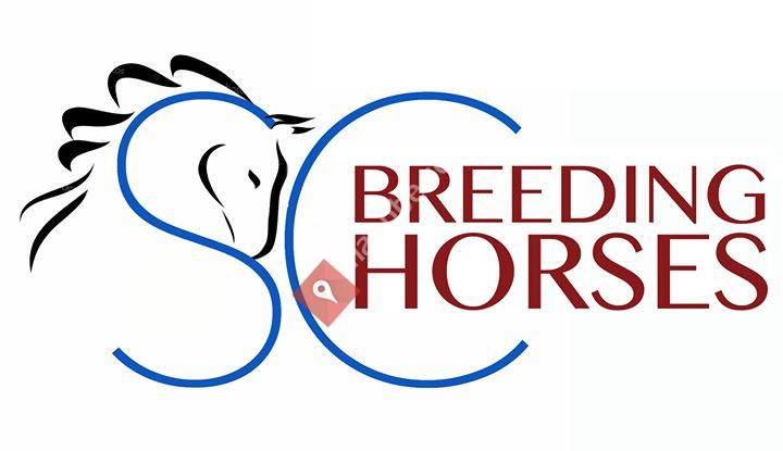 SC breeding horses